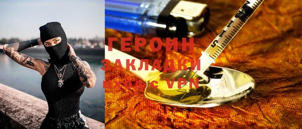 прущие грибы Апатиты