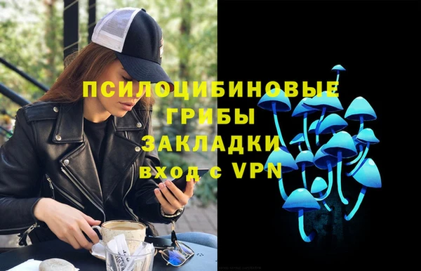 мдпв Михайловка