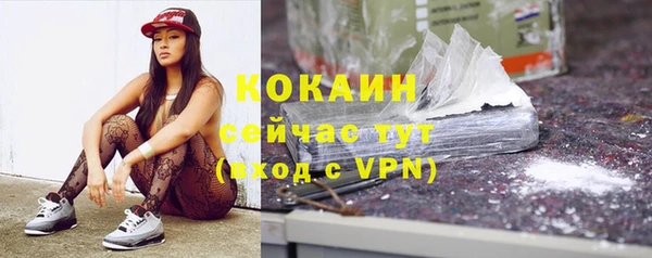 гашик Наволоки