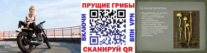 Галлюциногенные грибы мицелий  купить закладку  Минусинск 