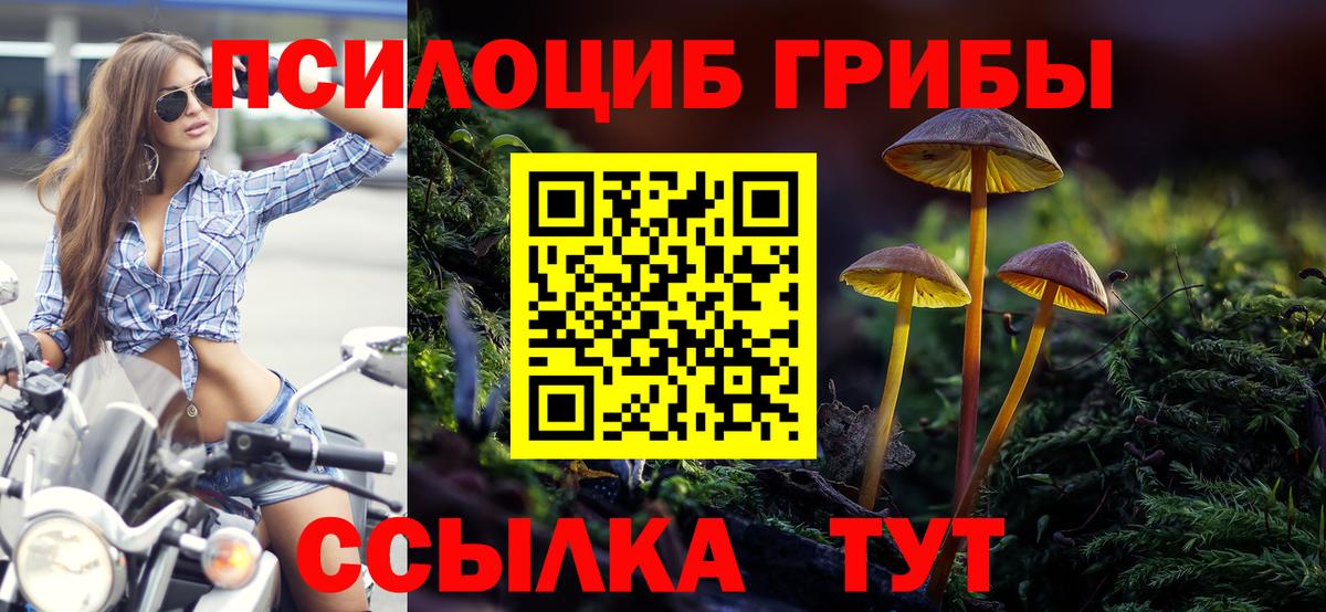 Псилоцибиновые грибы GOLDEN TEACHER Минусинск