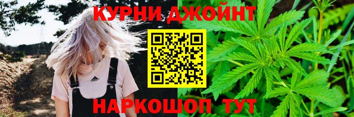 Бошки Шишки OG Kush  Конопля марихуана  Бошки Шишки планчик  Минусинск  Вход с VPN 